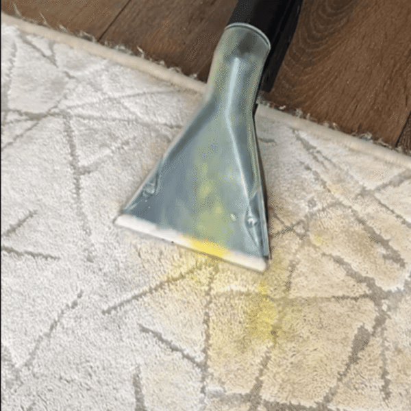 🪜 Lavado de alfombras no desmontables a domicilio